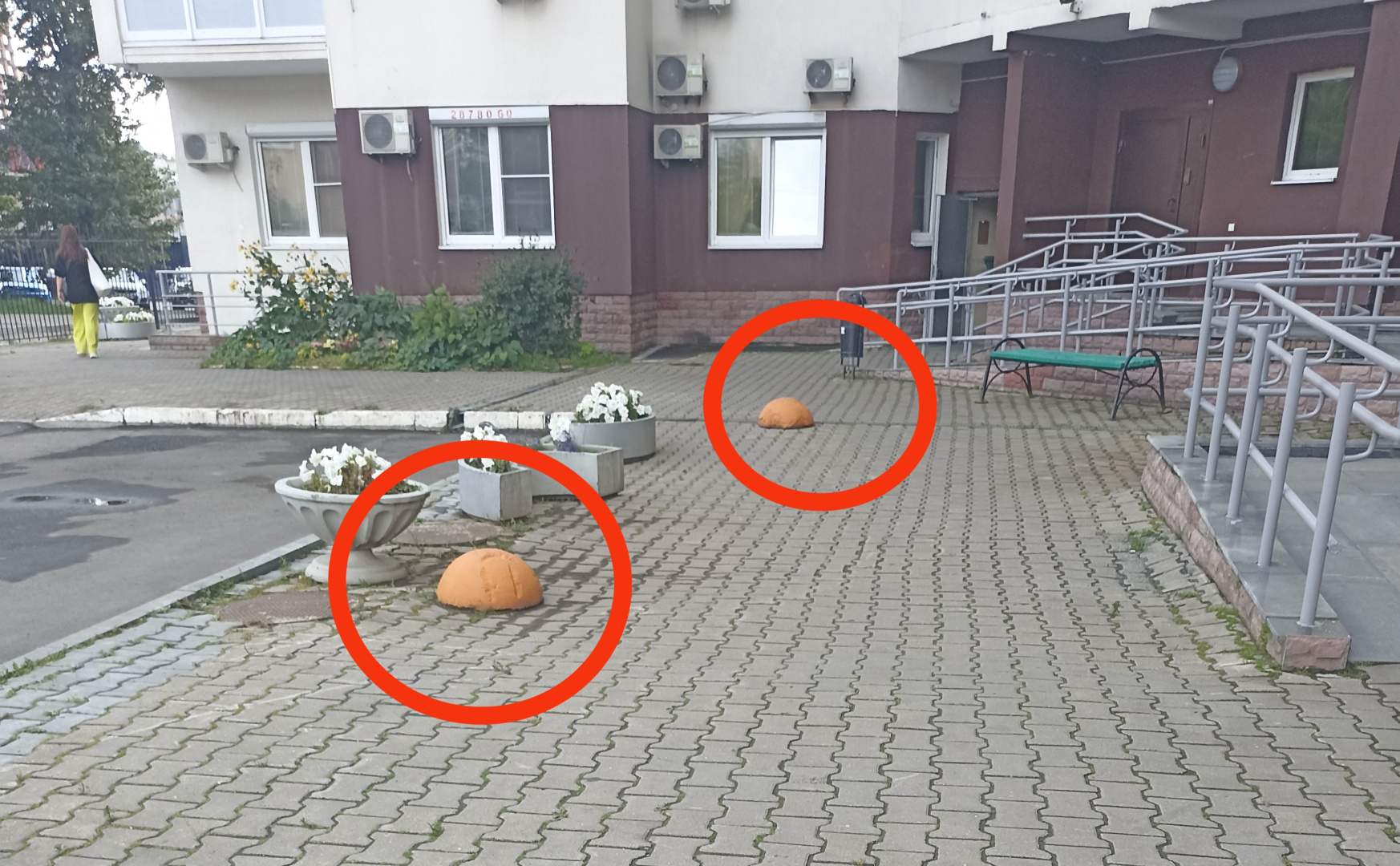 1000038088.jpg
